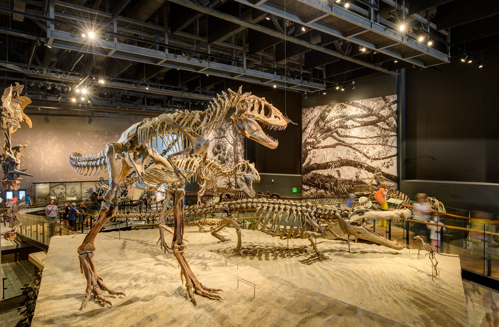 Natural History Museum of Utah, Dinosaur
